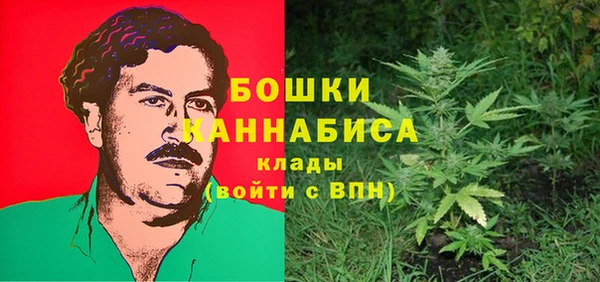 прущие крисы Горнозаводск