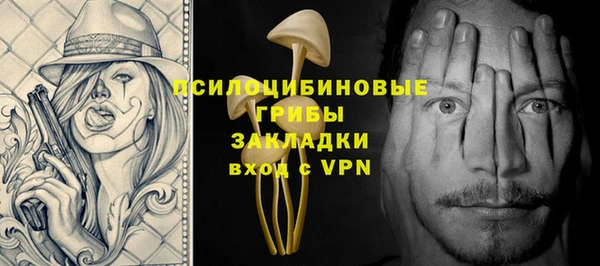 круглые Вяземский