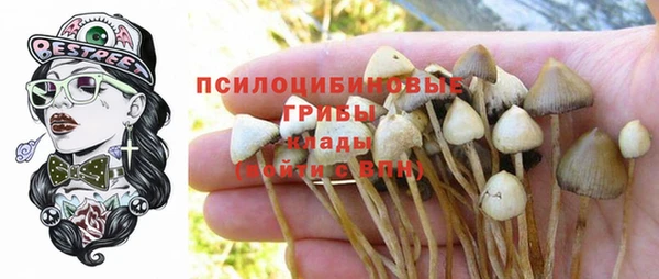 прущие крисы Горнозаводск