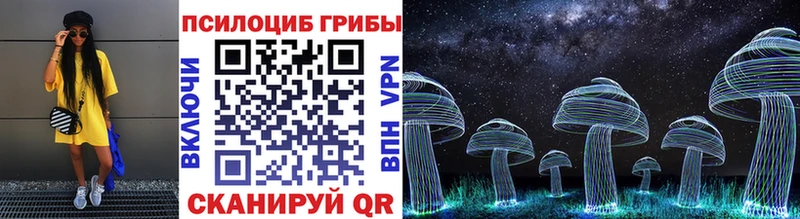 Псилоцибиновые грибы Cubensis  Кострома 