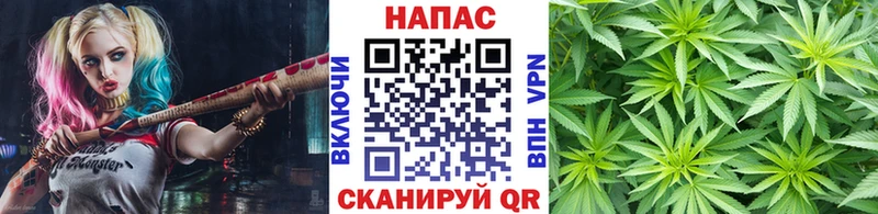 МАРИХУАНА гибрид  Кострома 